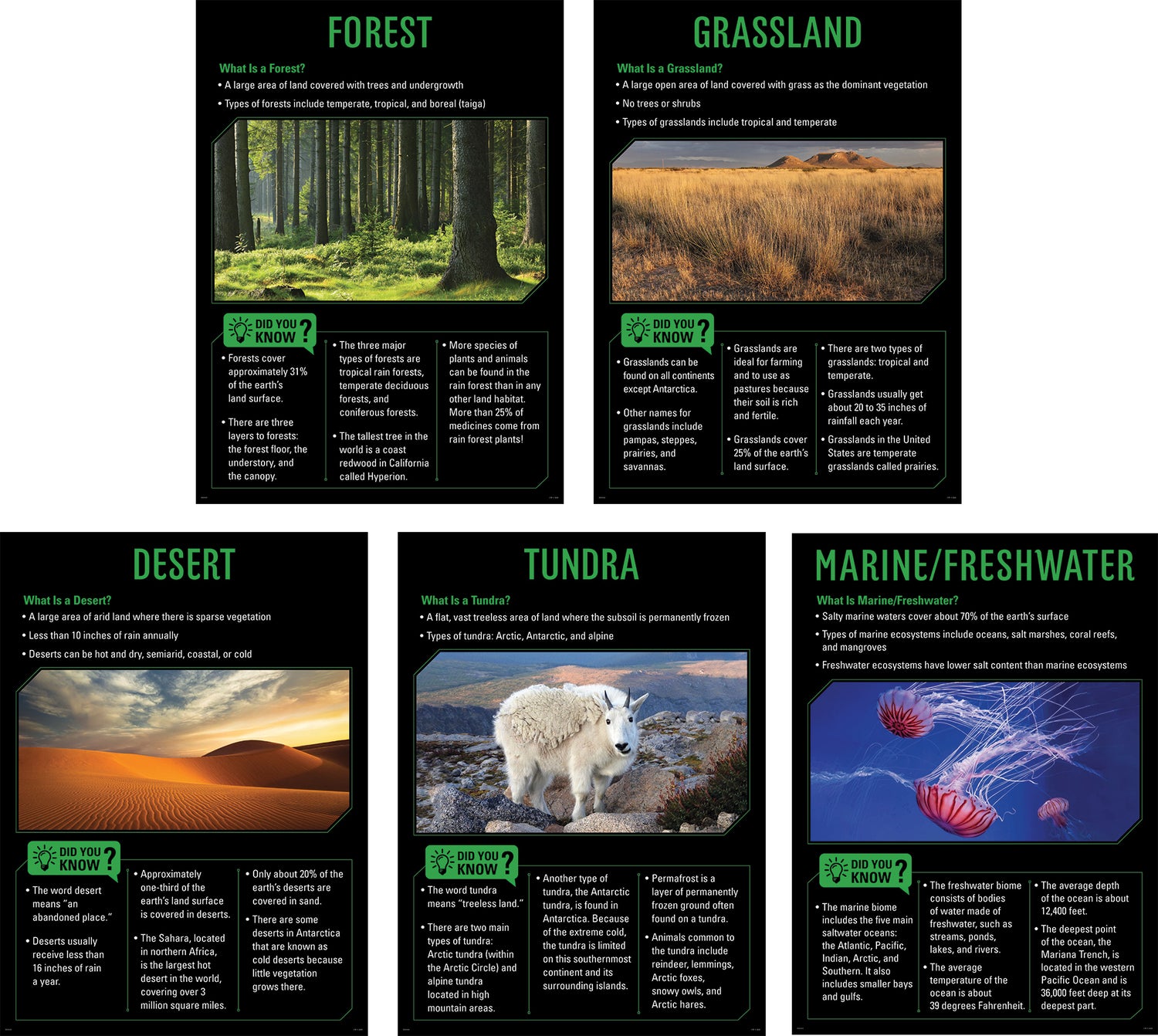 Ecosystems Poster Set