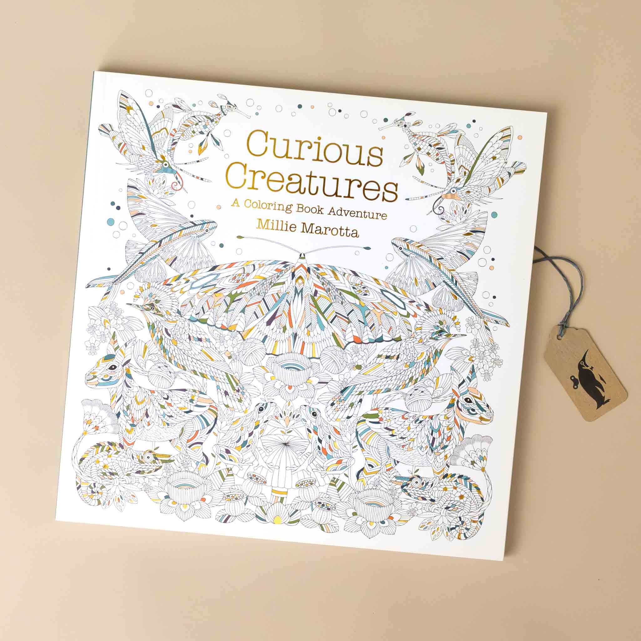 Curious Creatures Coloring Book