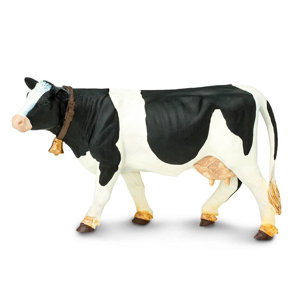 Miniature Holstein Cow