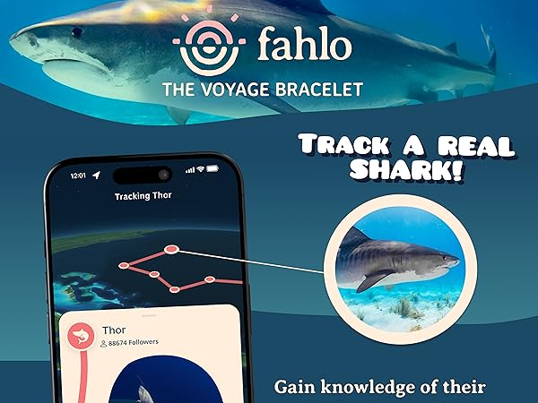 The Voyage Bracelet (Shark Week Edition)