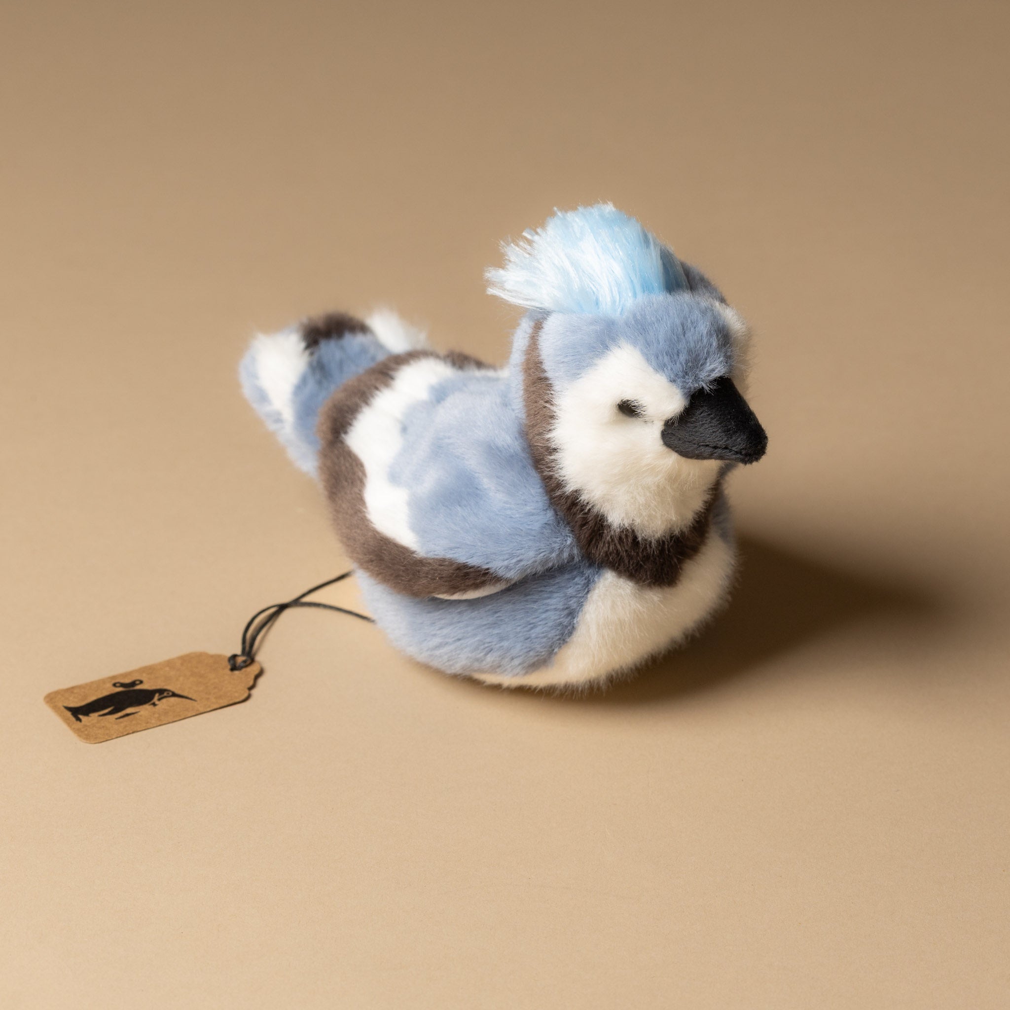 Denim the Blue Jay