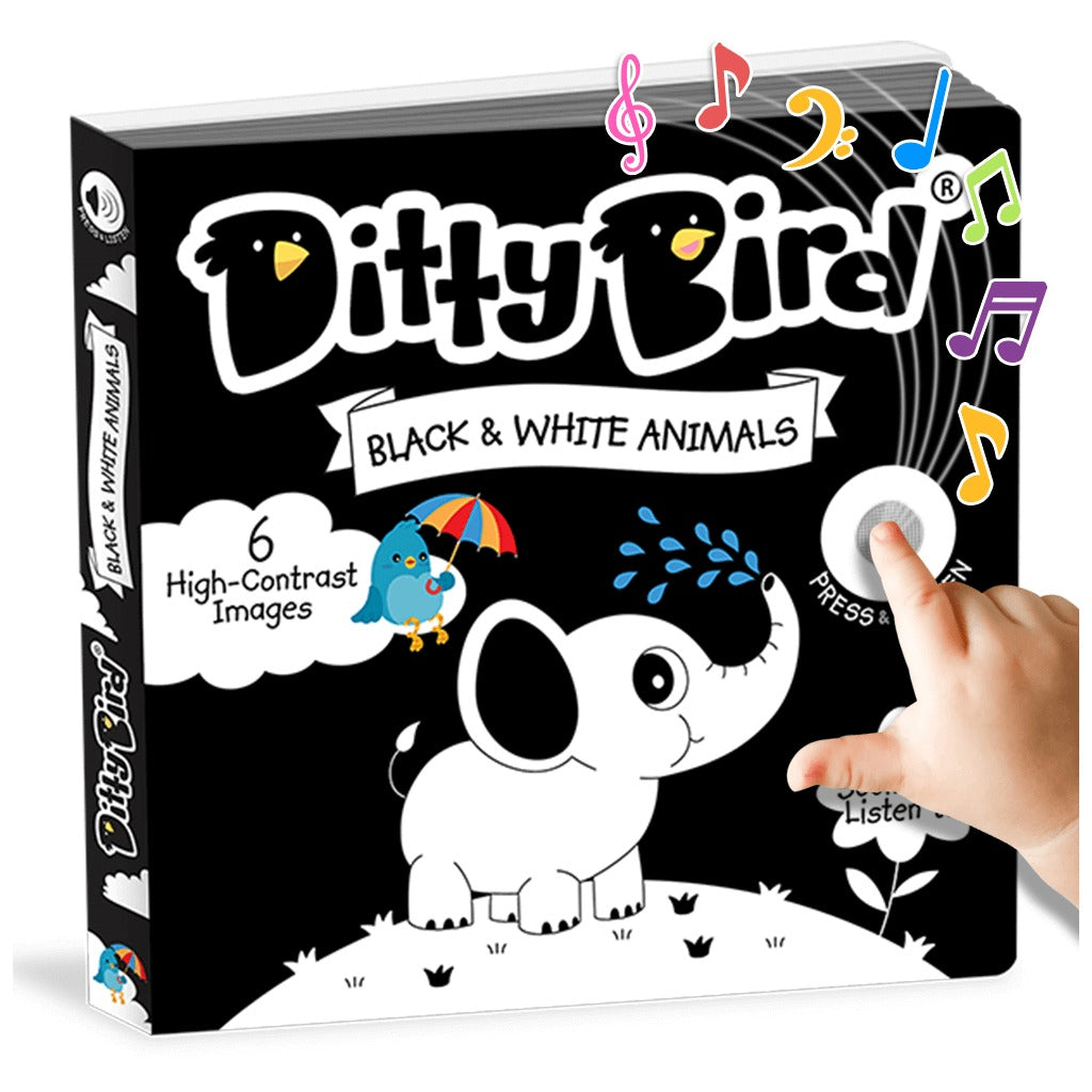 Black and White Animals - Ditty Bird