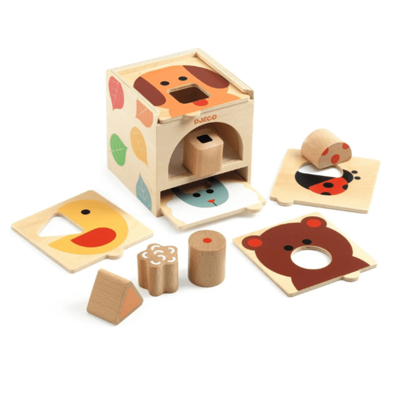 BoxBasic Shape Sorter