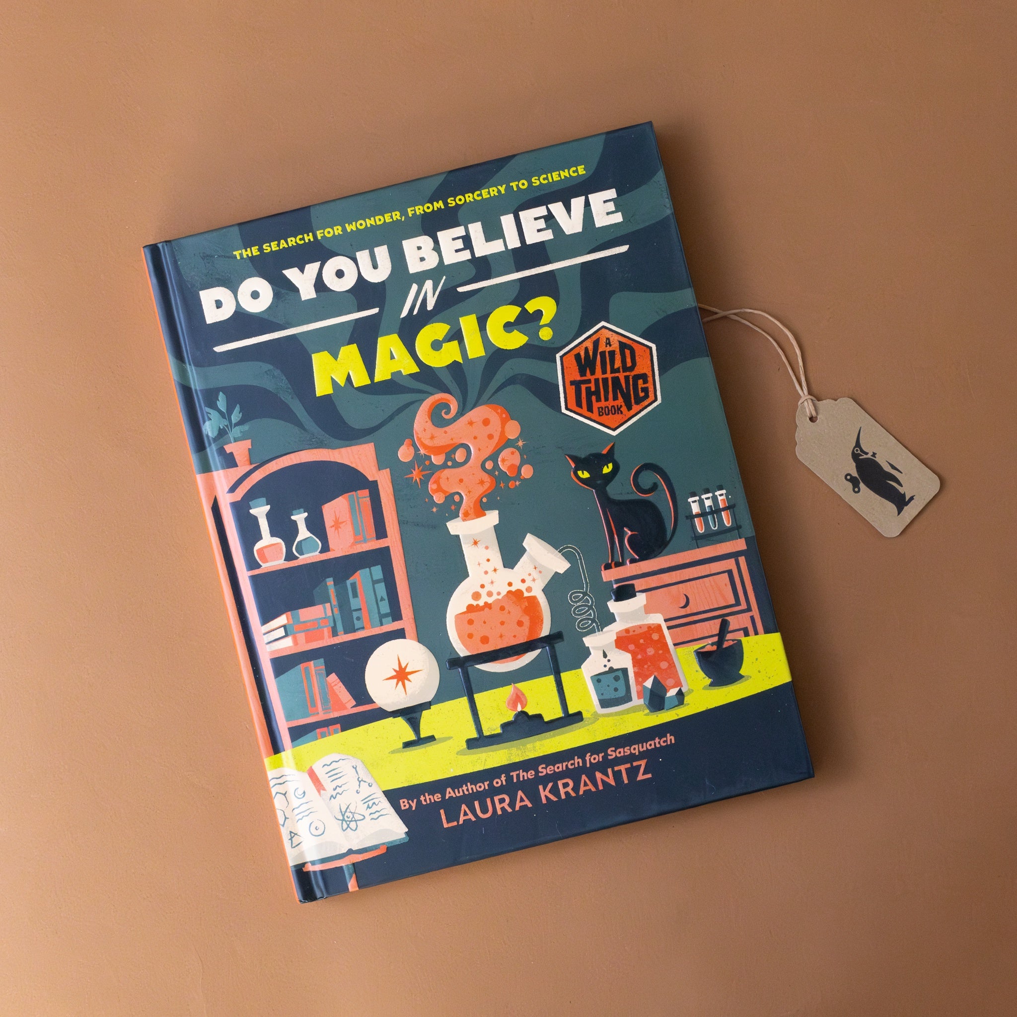 Do You Believe in Magic? Book