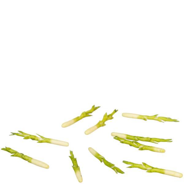 10 Dollhouse Miniature Asparagus