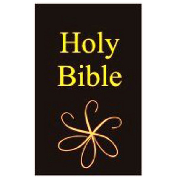 Black Dollhouse Miniature Bible