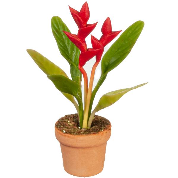 Crimson Dollhouse Miniature Bird of Paradise Plant