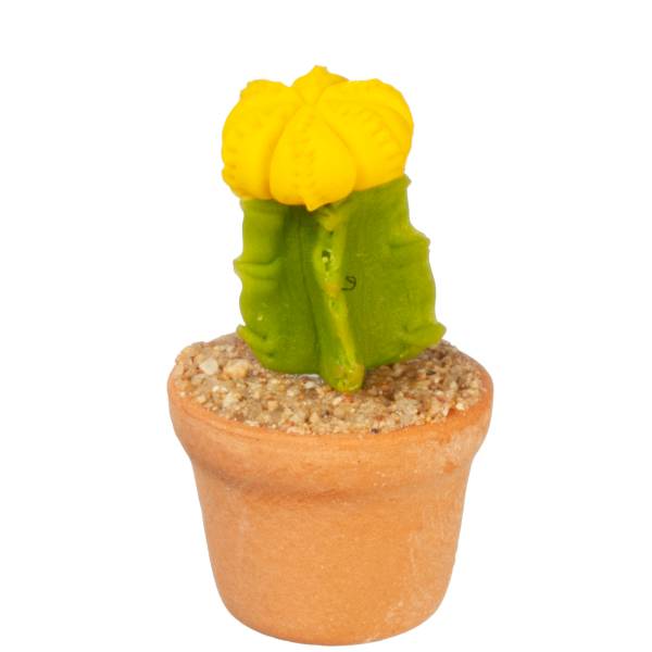 Dollhouse Miniature Cactus with a Yellow Flower