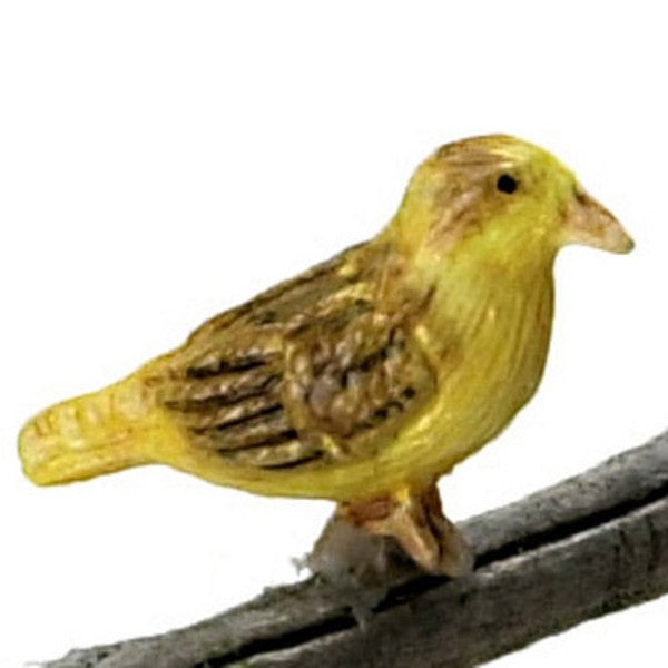 Dollhouse Miniature Norwich Fancy Canary