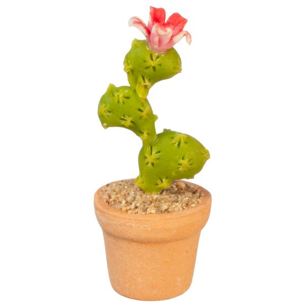 Dollhouse Miniature Flowering Cactus