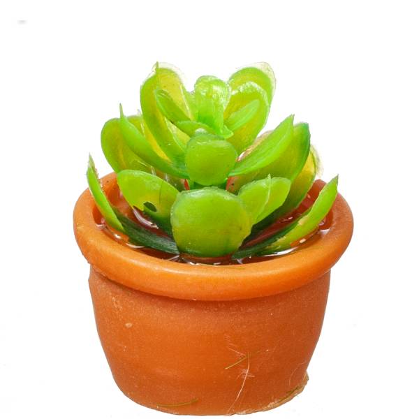 Dollhouse Miniature Greenery Terra Cotta Pot