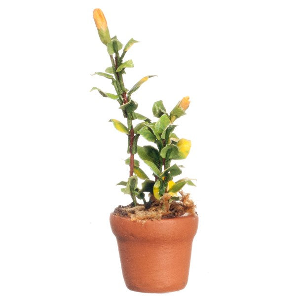 Dollhouse Miniature Potted Green Plant