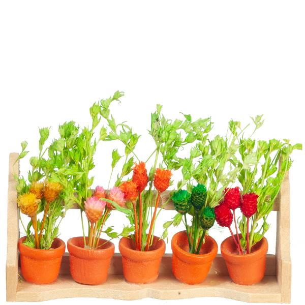 Dollhouse Miniature Wild Flowers in a Box