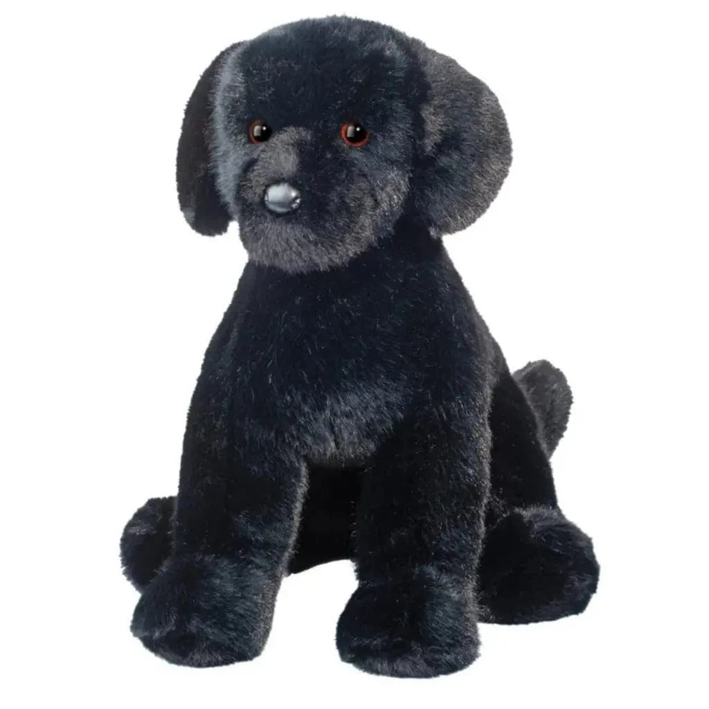 Spruce Black Lab