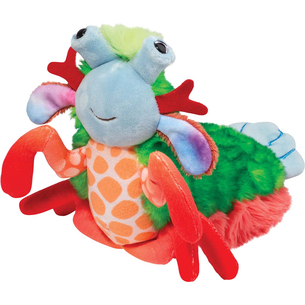 Punchie Mantis Shrimp