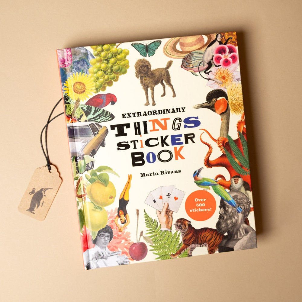 Extraordinary Things Sticker Book