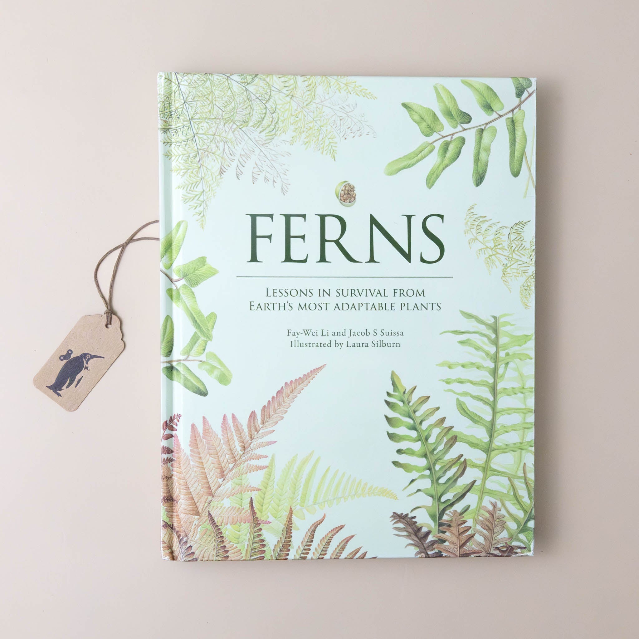 Ferns Book