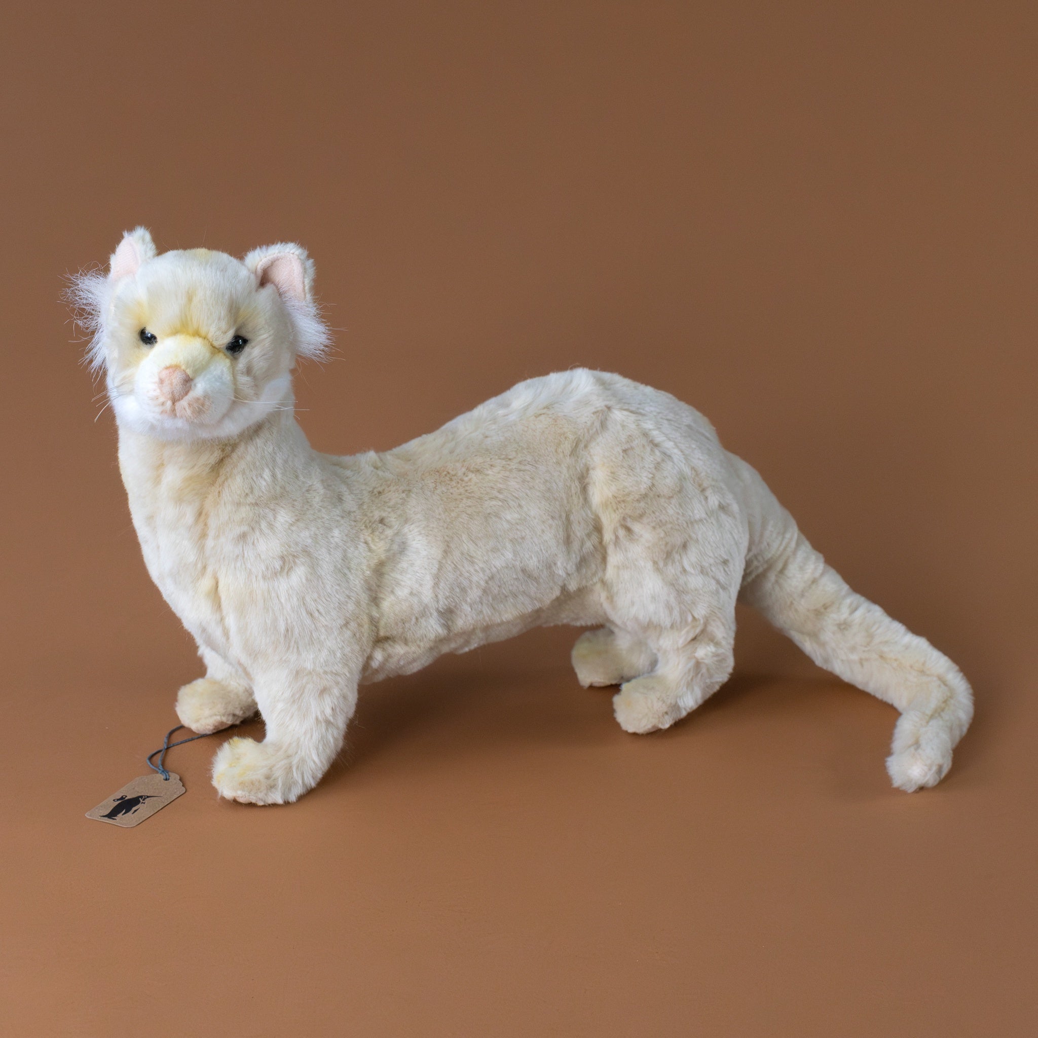 Ferret | Standing - Cream