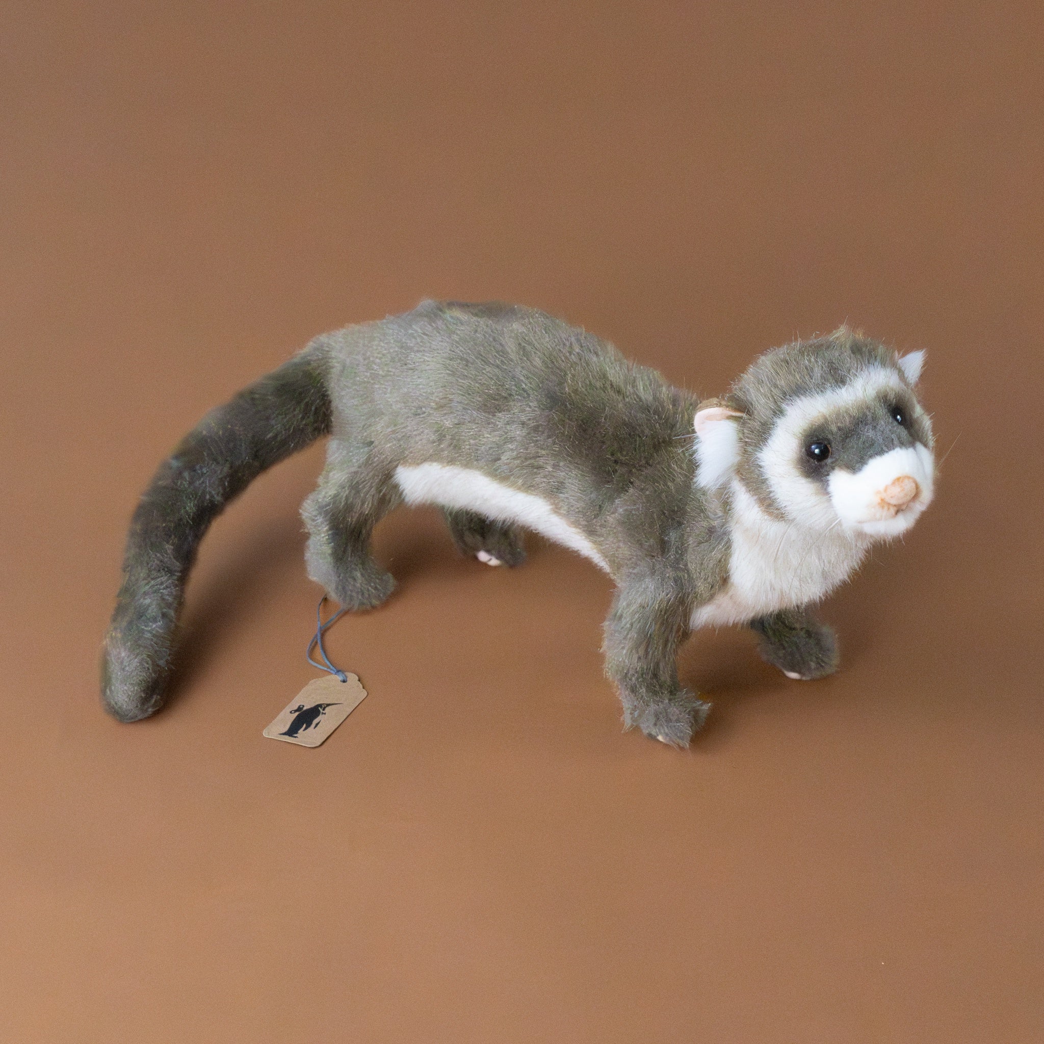 Ferret | Standing - Brown