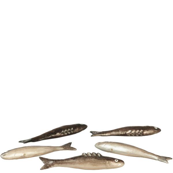 5 Dollhouse Salmon