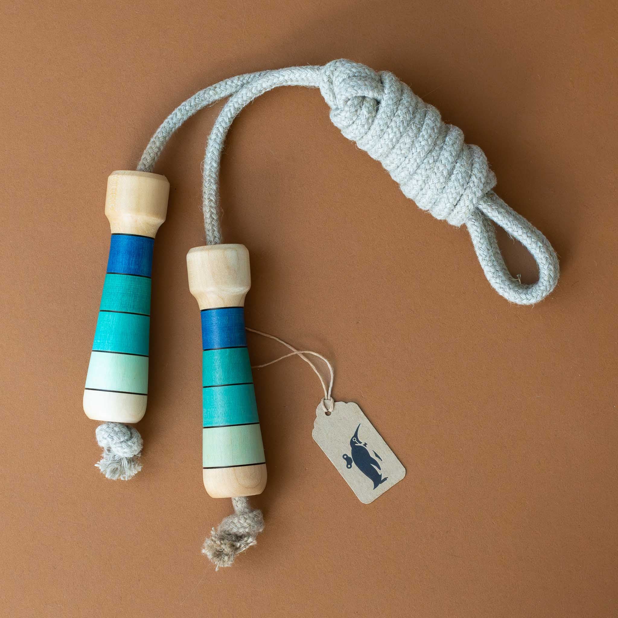 Flamenco Jump Rope With Wooden Handles | Turquoise Ombre