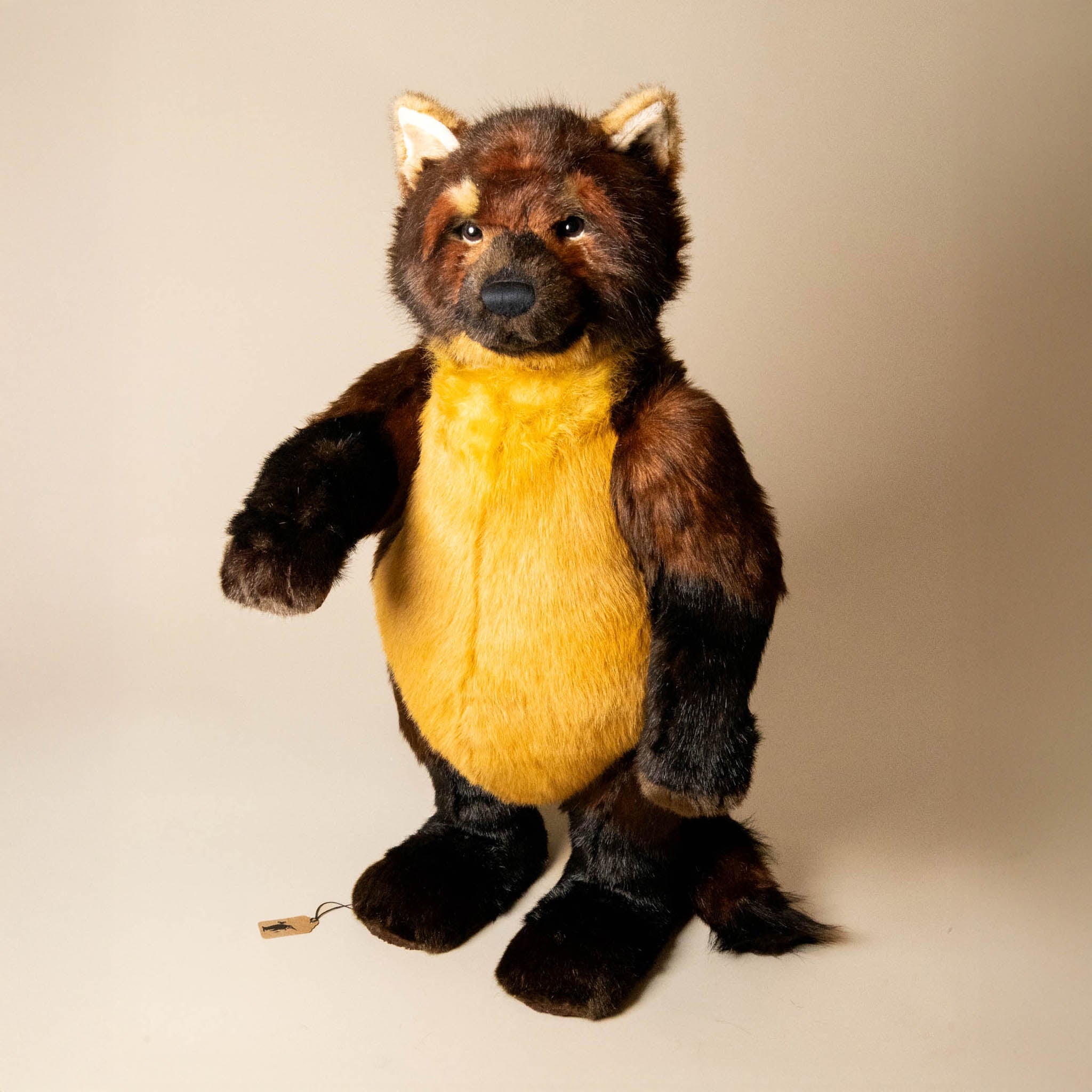 Foots the Meandering Mongoose