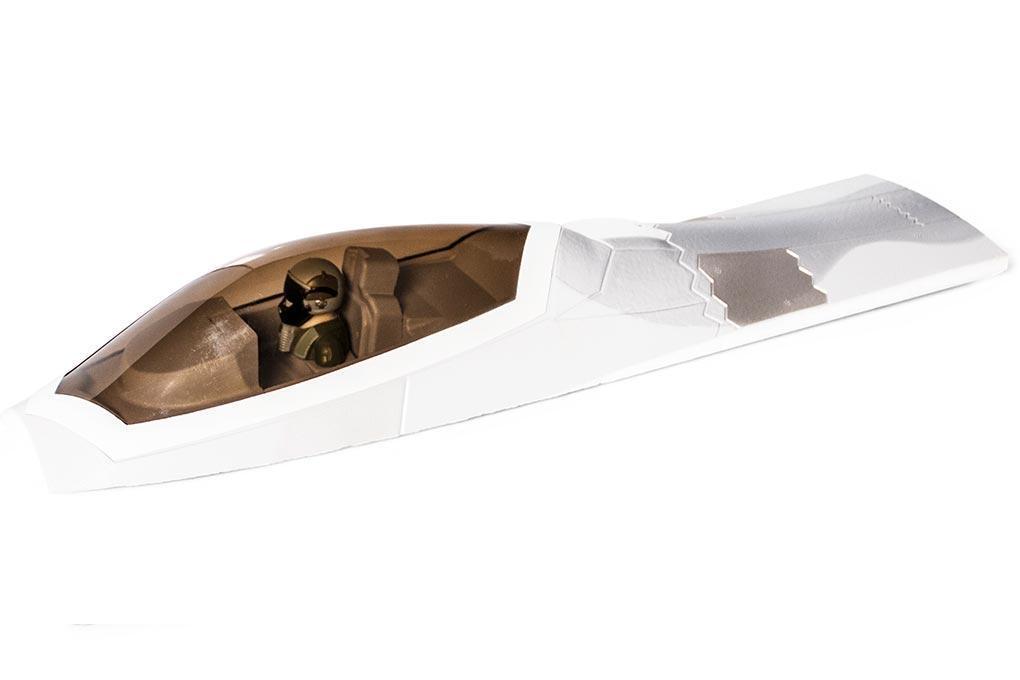 Freewing 90mm EDF F-22 Raptor Cockpit