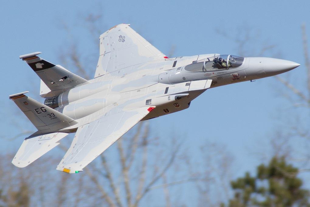 Freewing F-15C Eagle Super Scale 90mm EDF Jet - ARF PLUS