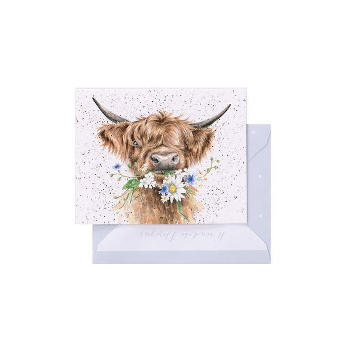 Daisy Coo' Highland Cow Enclosure Card