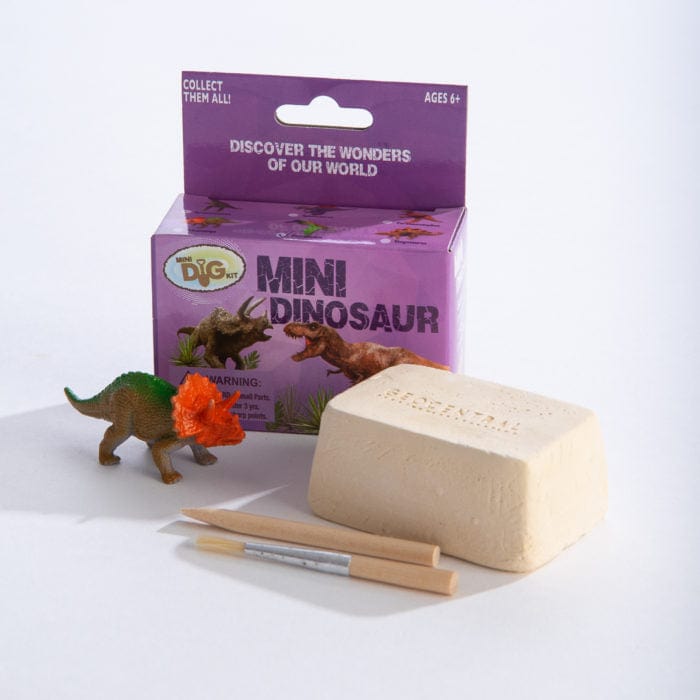 Mini Dig Kit - Dinosaur