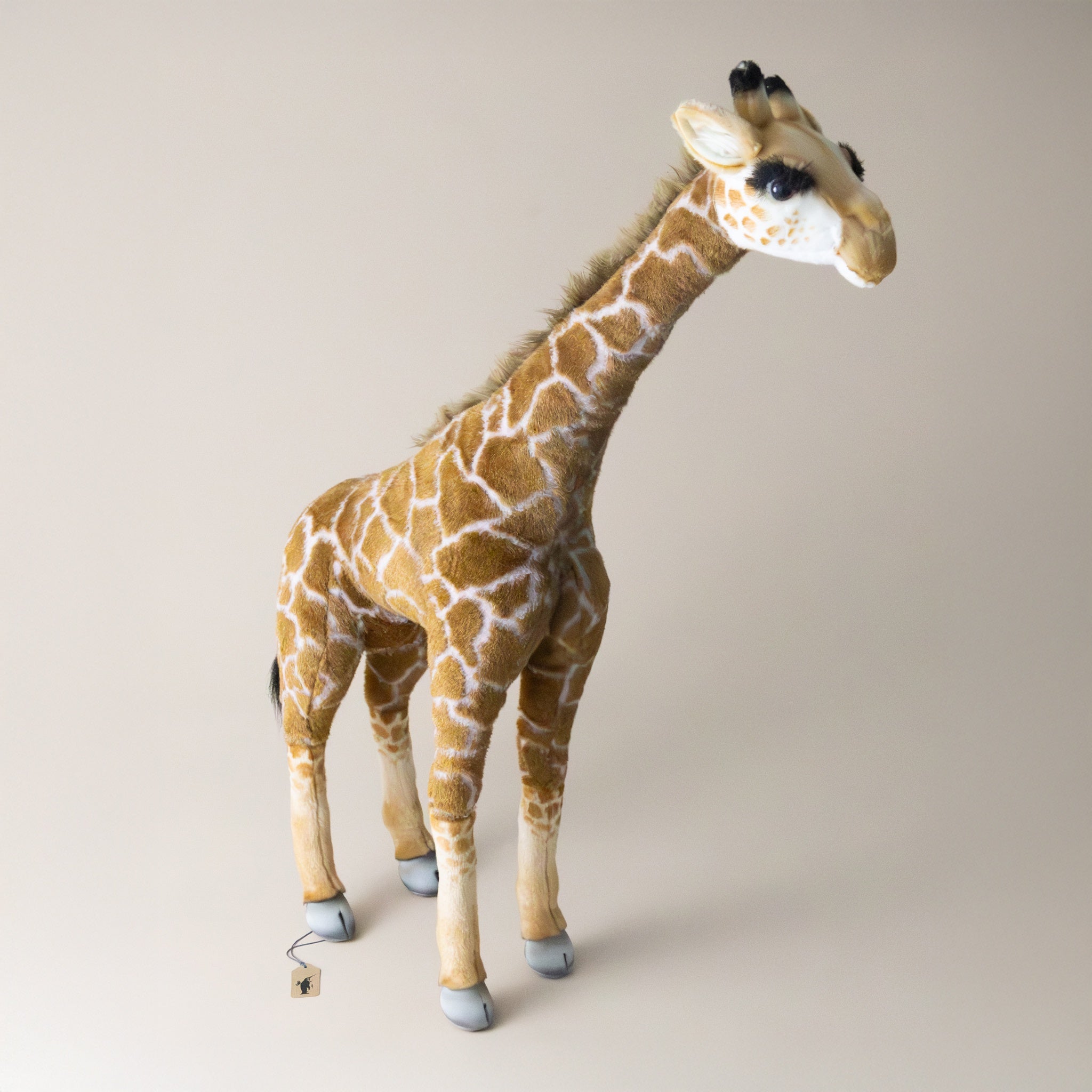 Giraffe | Standing