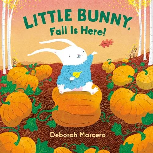 Little Bunny, Fall Is Here! (Board Book)