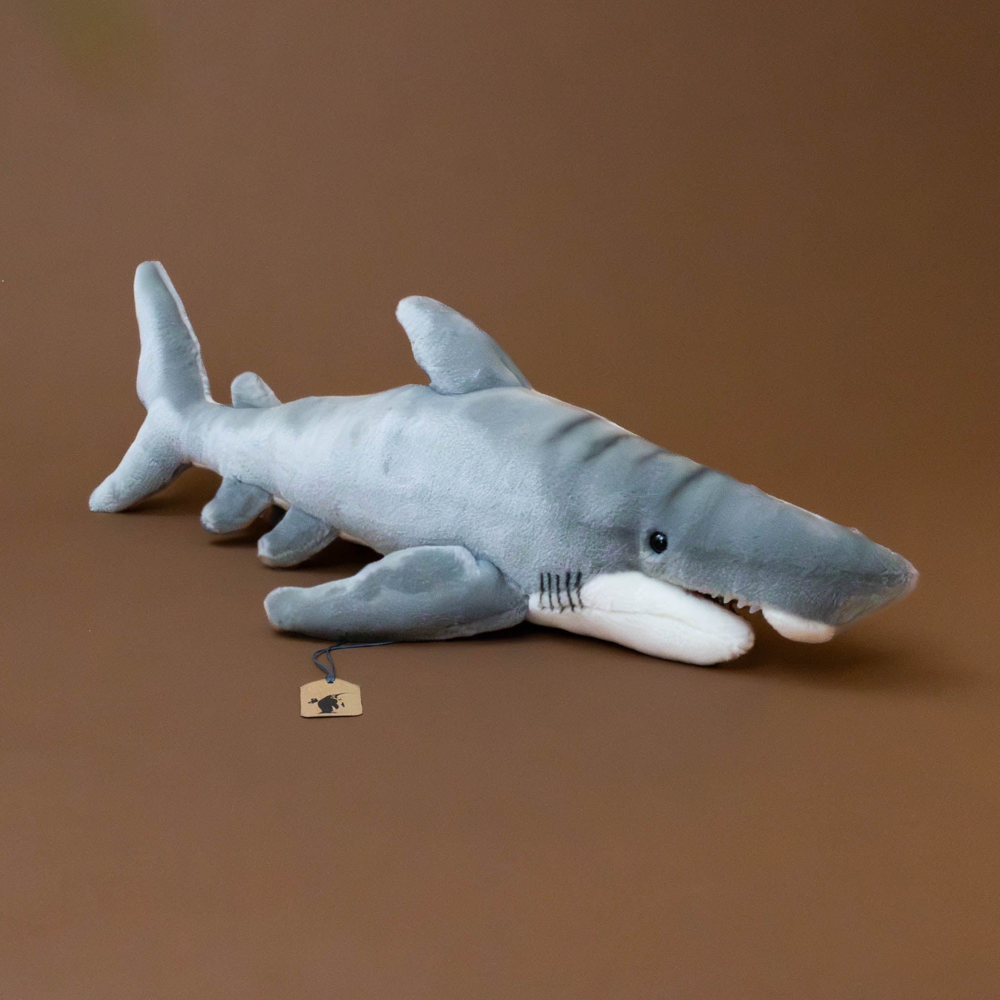 Great White Shark
