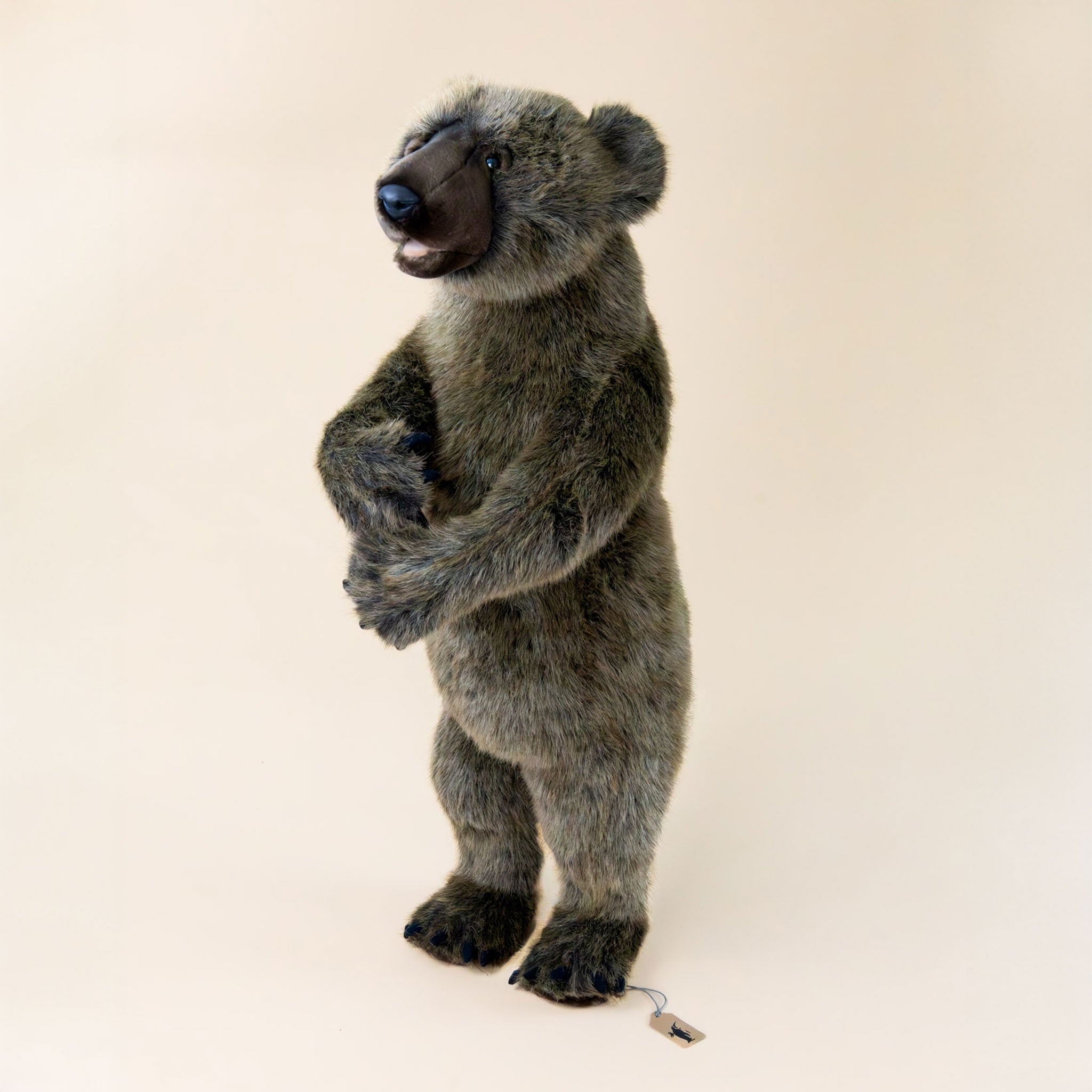Grizzly Bear | Standing - Small