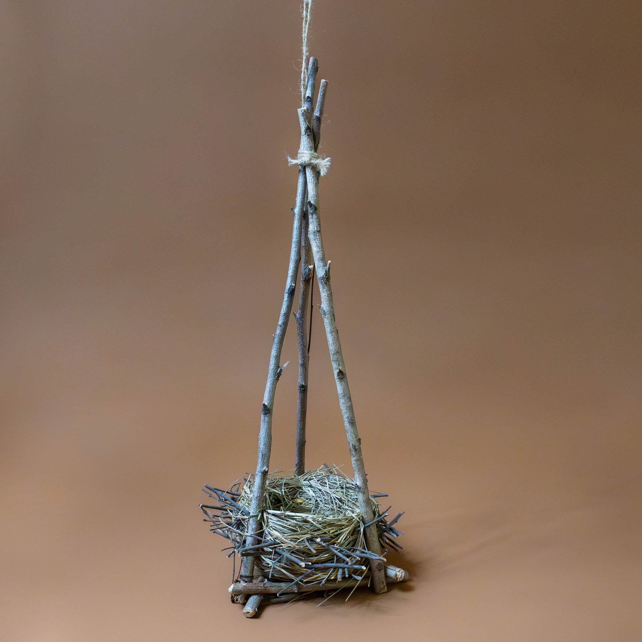 Hanging Twig Nest