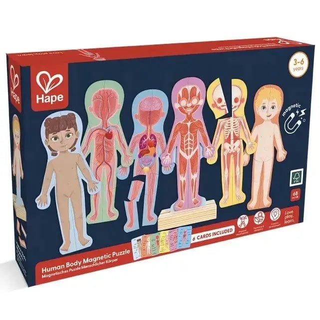 Human Body Magnetic Puzzle