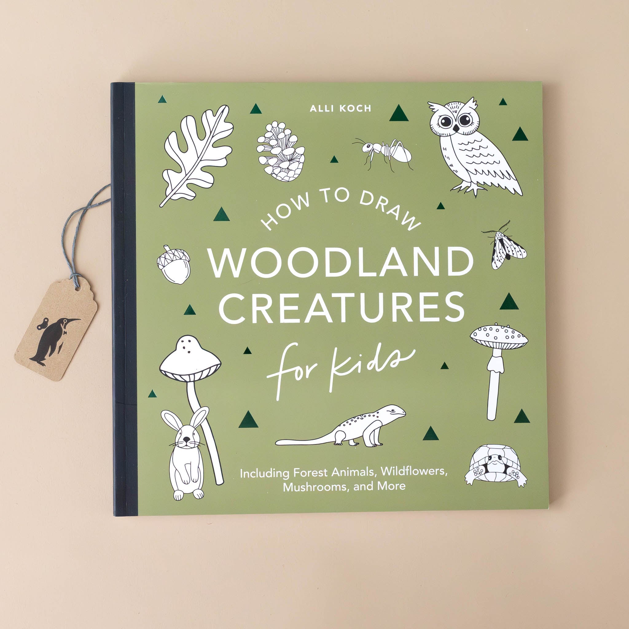 How to Draw Woodland Creatures for Kids Book