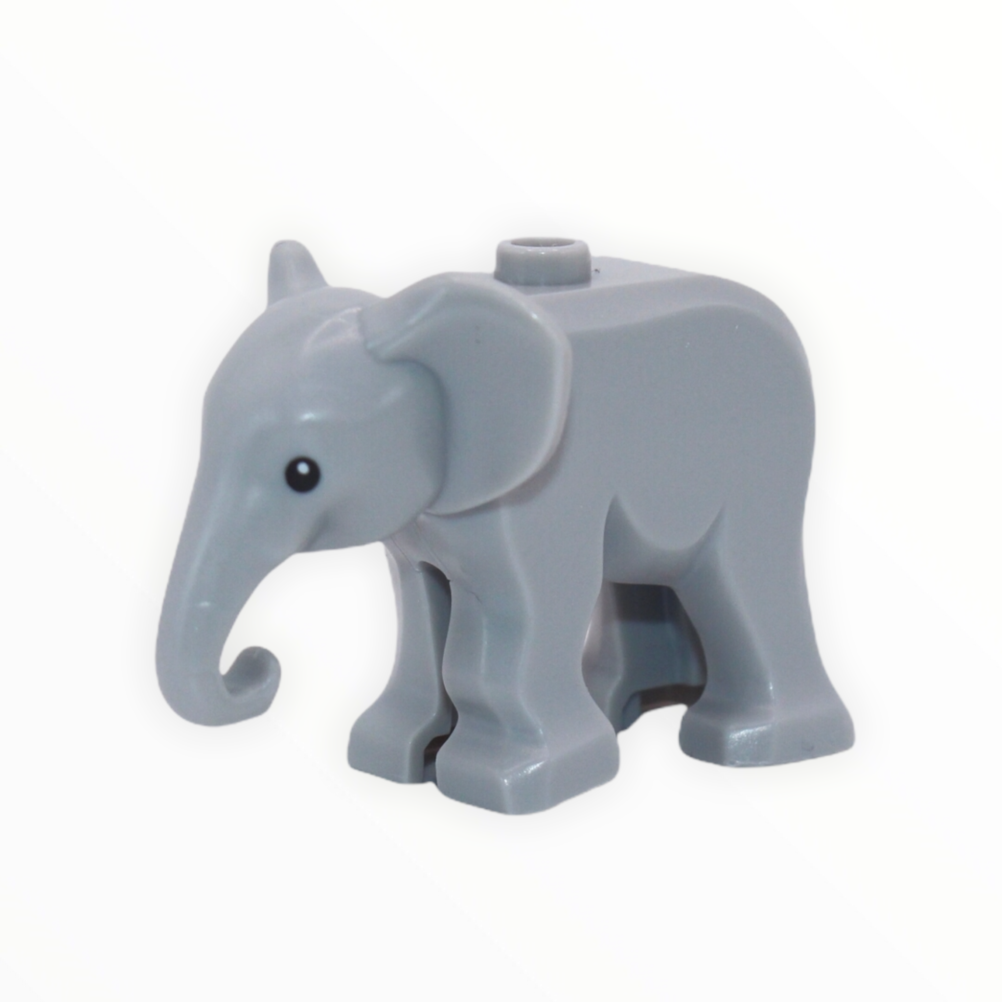 Baby Elephant