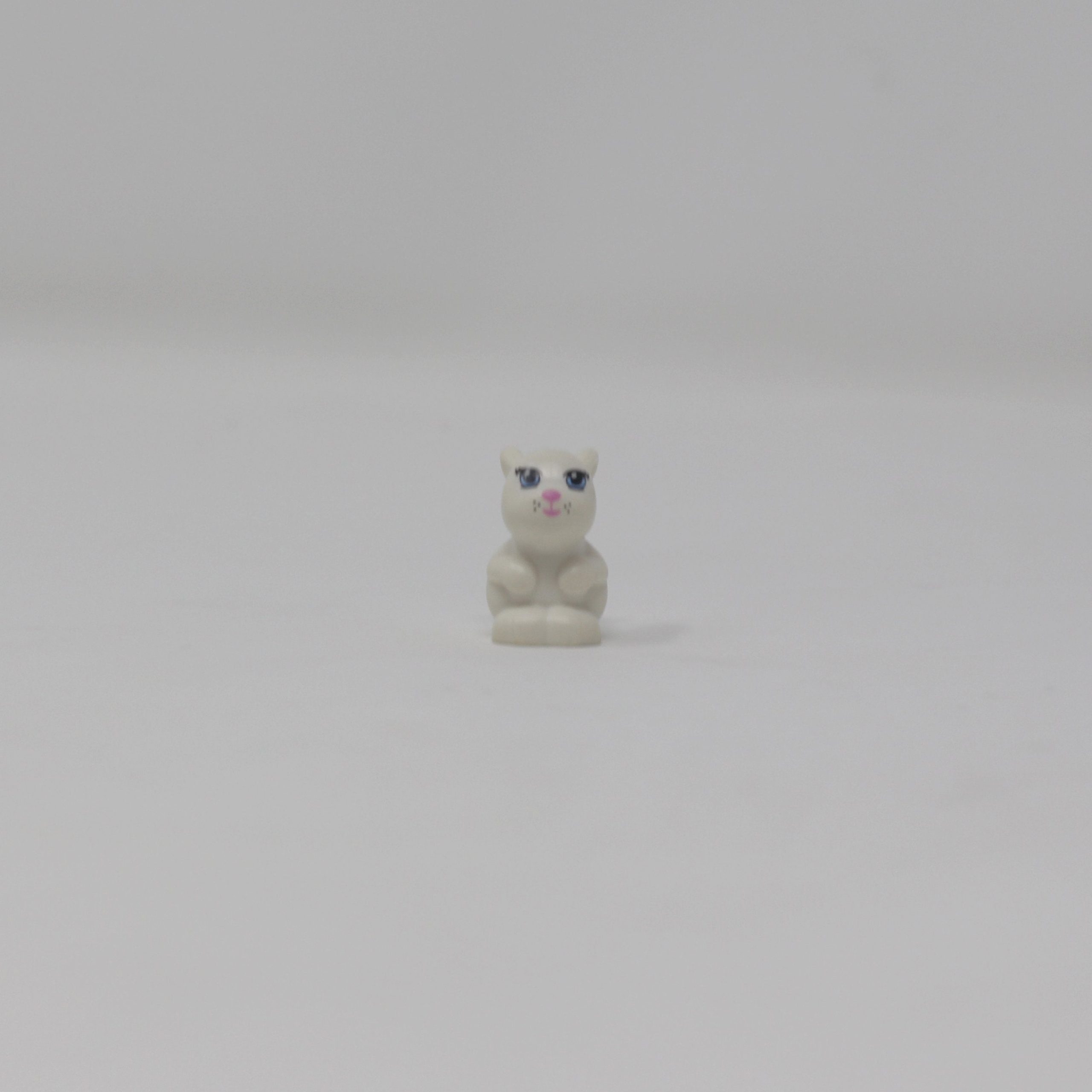 White Bunny (Friends)
