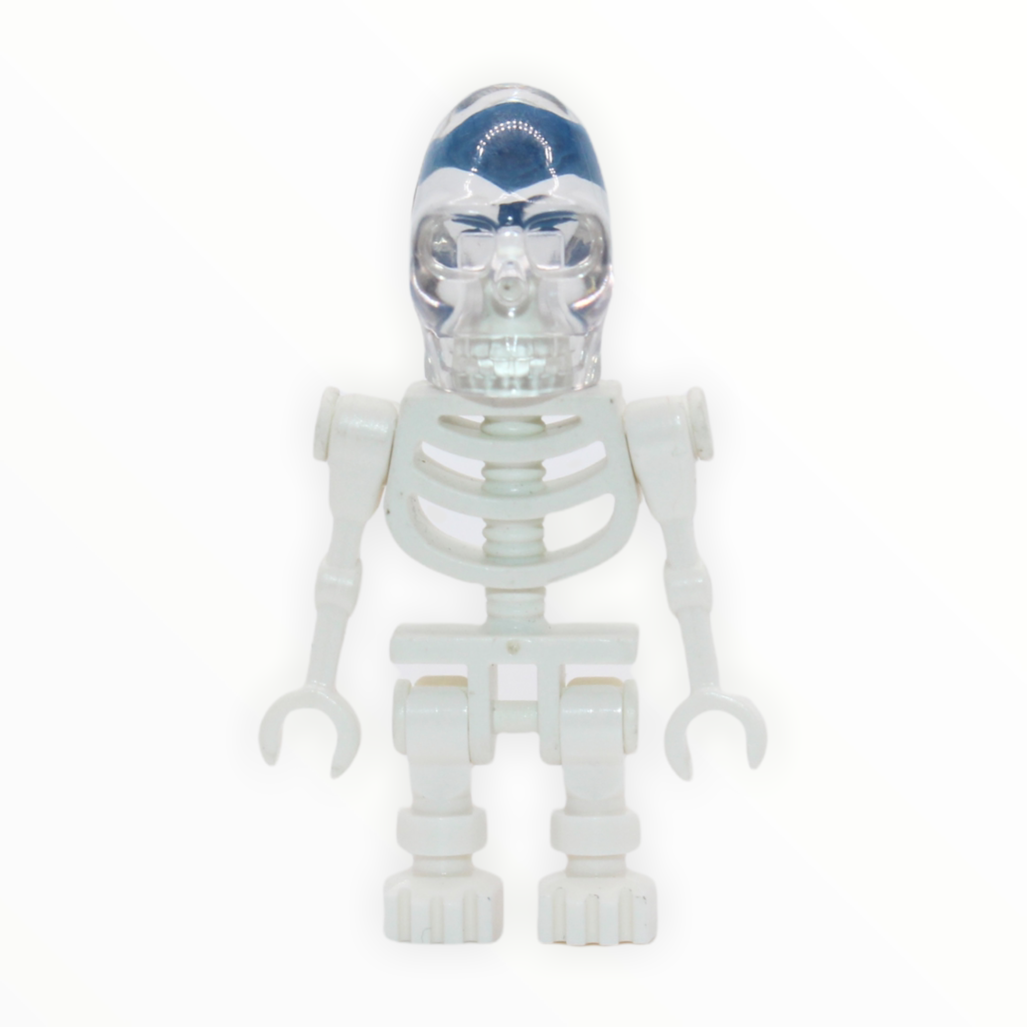 Akator Skeleton