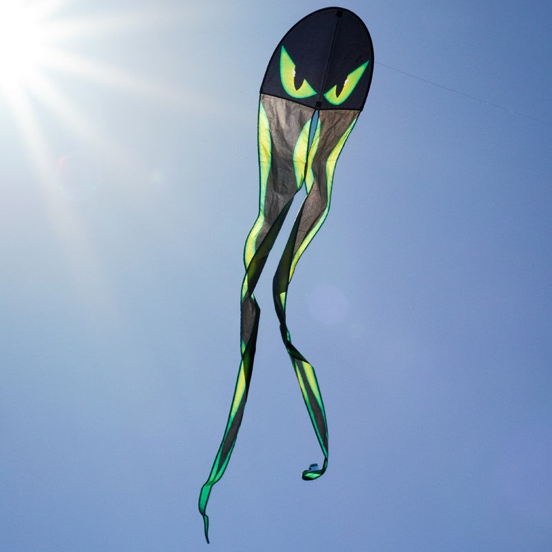"Eyes" Dancing Dragon Kite with Flying Line