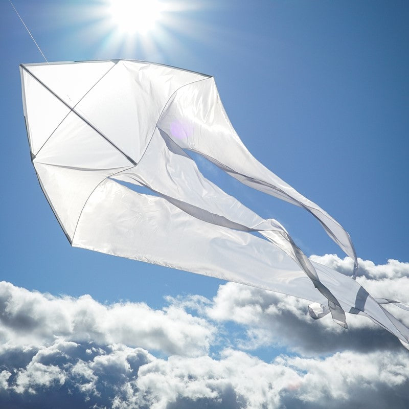"Wave" Delta Kite with Line Included