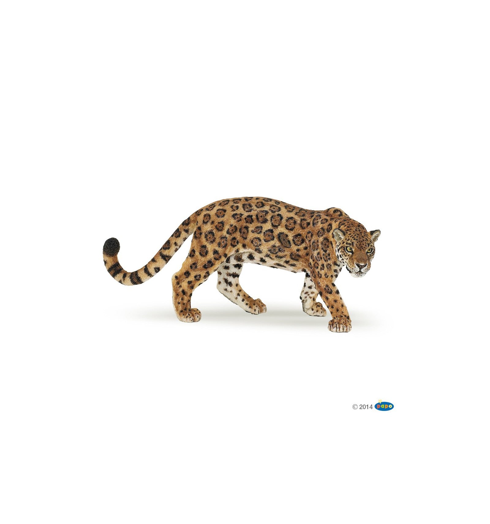 PAPO - Jaguar