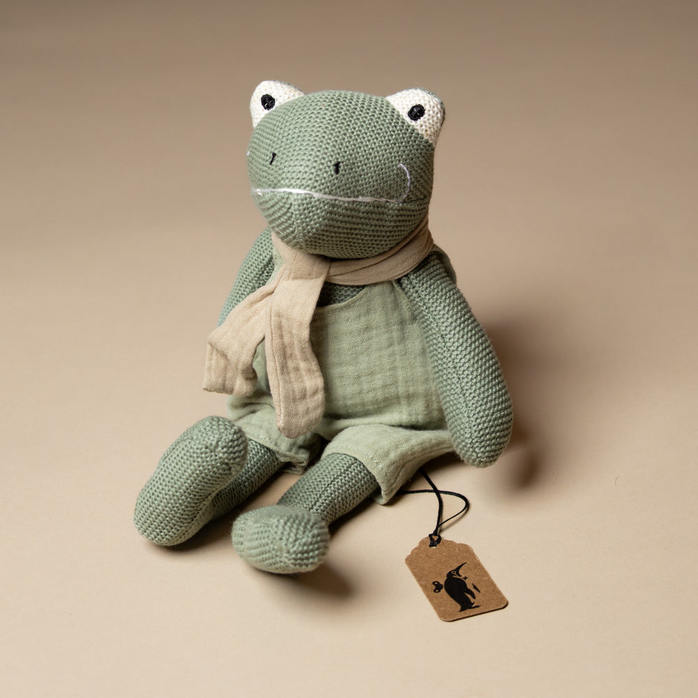 Jeremy the Frog Plush Rattle
