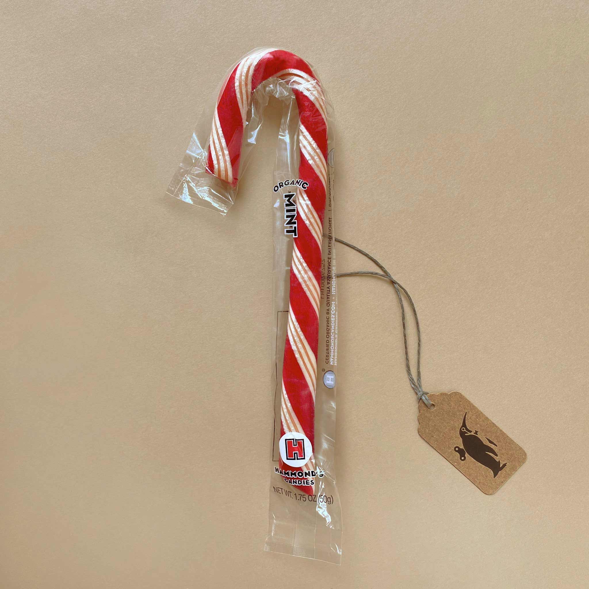 Jumbo Candy Cane | Organic Peppermint