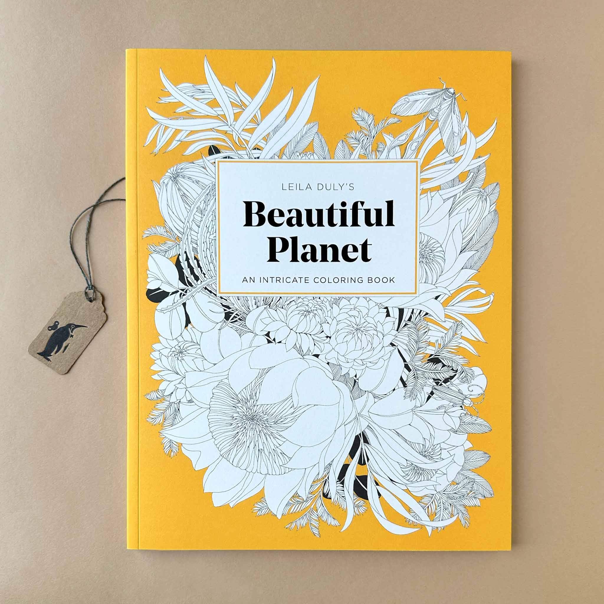 Leila Duly Beautiful Planet | An Intricate Coloring Book