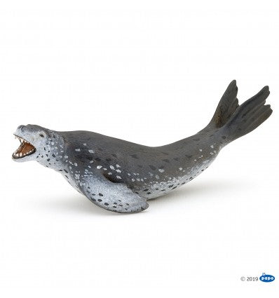 PAPO - Leopard Seal