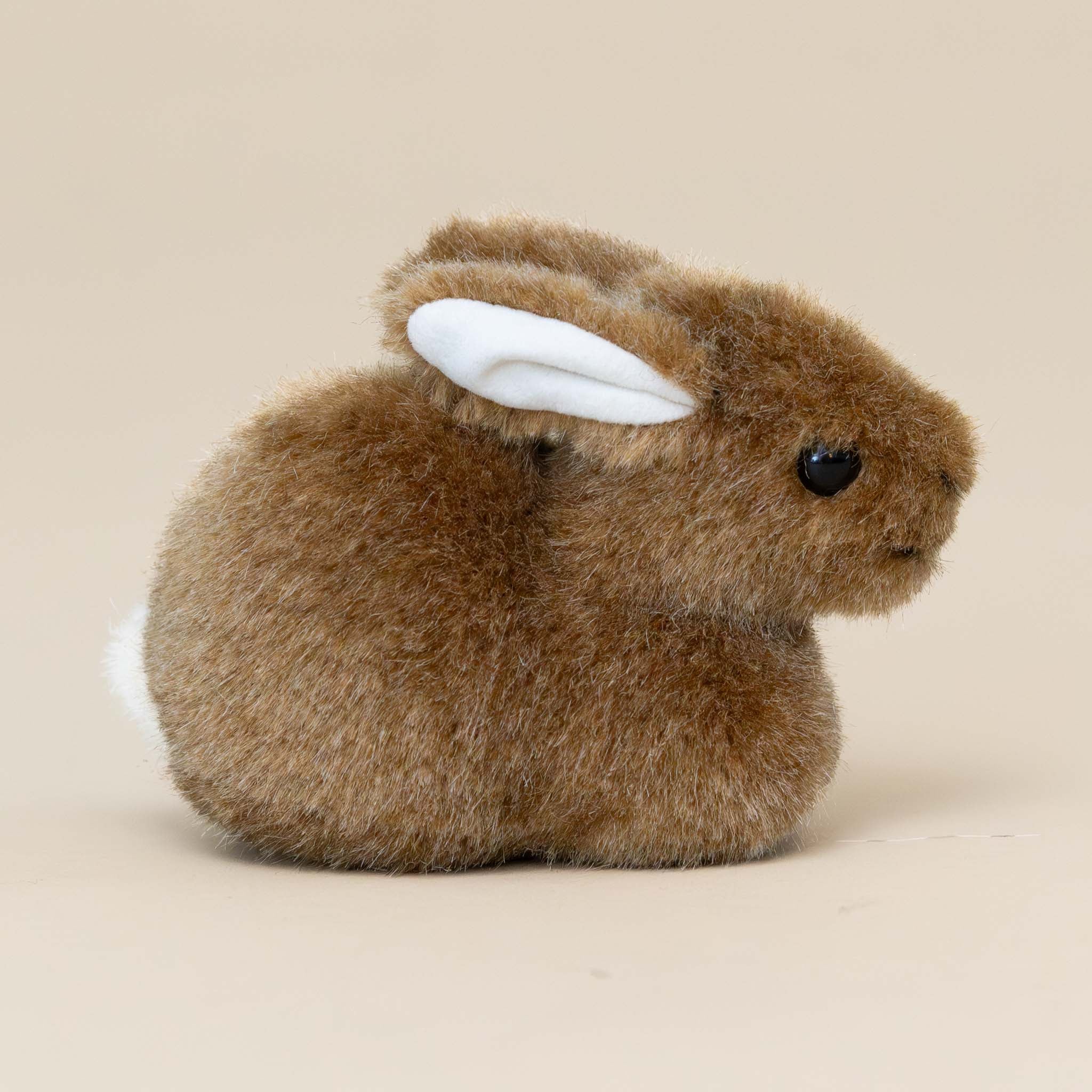 Little Brown Bunny | Crouching