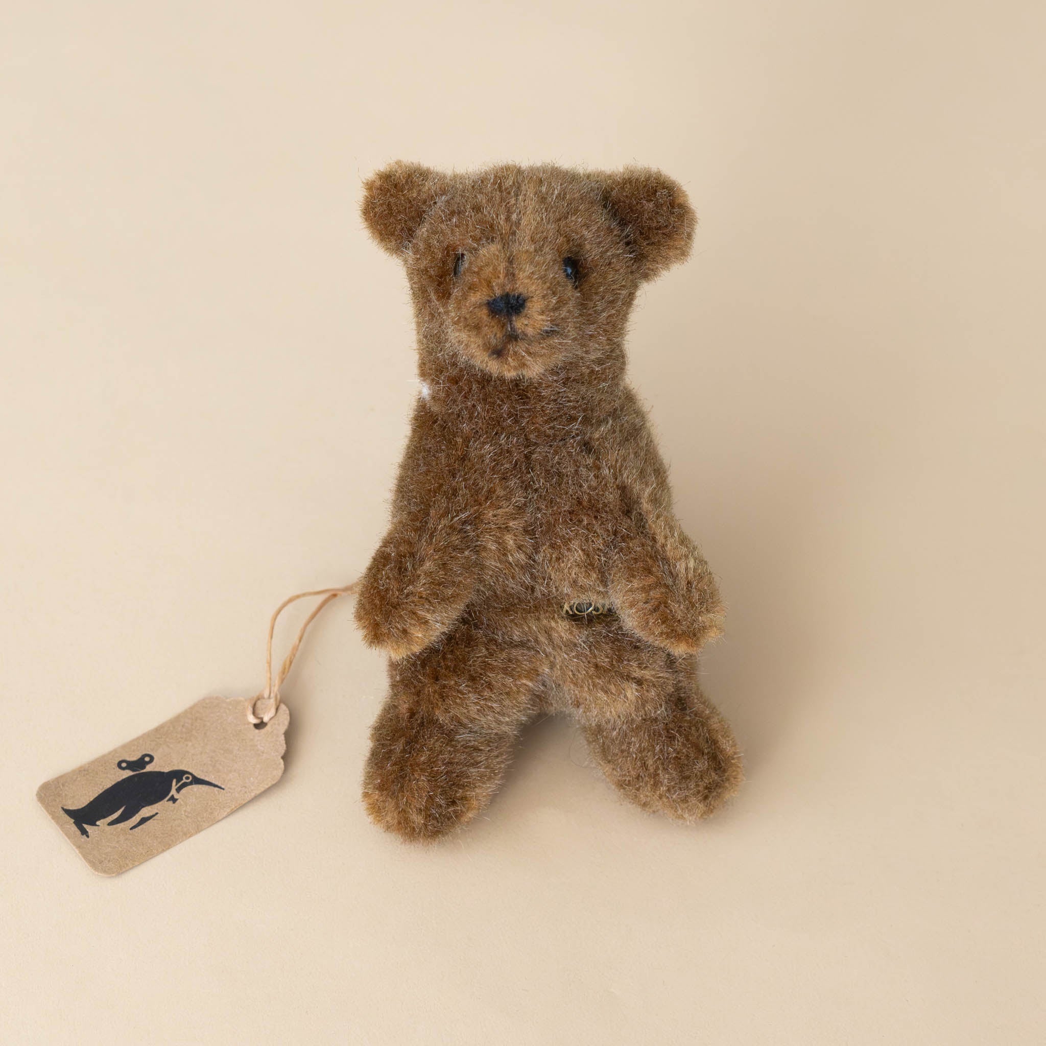 Little Grizzly Bear Cub | Standing