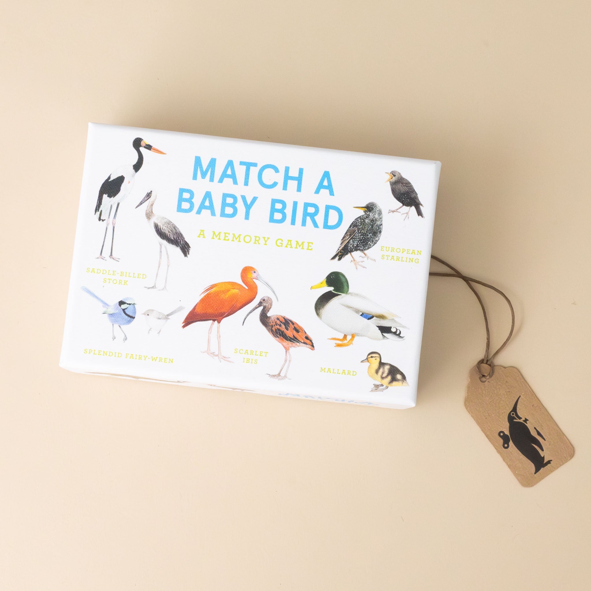 Match a Baby Bird Memory Game